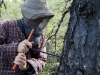 Undergraduate student extracts a tree core from a larch tree in Siberia.